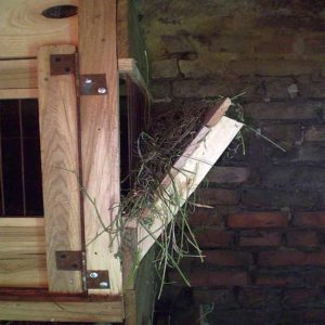 Как сделать крольчатник