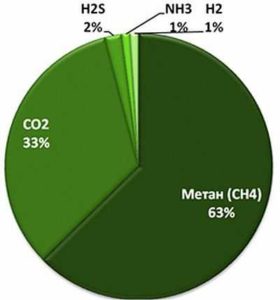 Самостоятельное производство биогаза