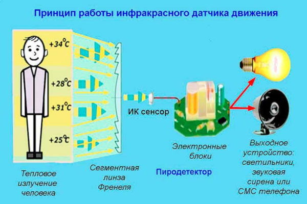 Датчик движения для включения освещения