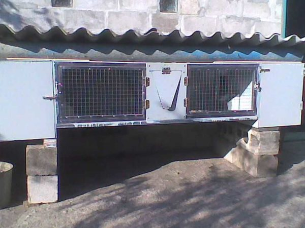 Как сделать крольчатник