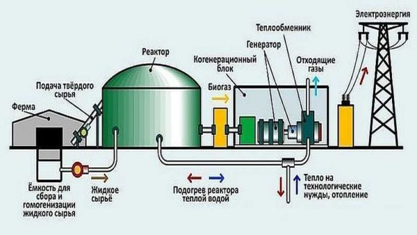 Самостоятельное производство биогаза