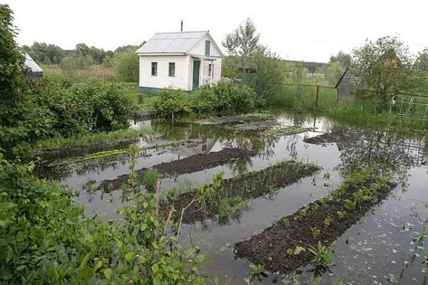 Как сделать дренаж на участке своими руками