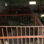 Как построить свинарник самостоятельно