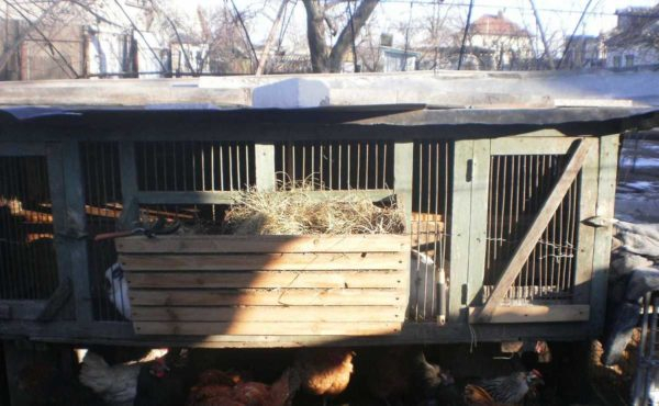 Как сделать крольчатник