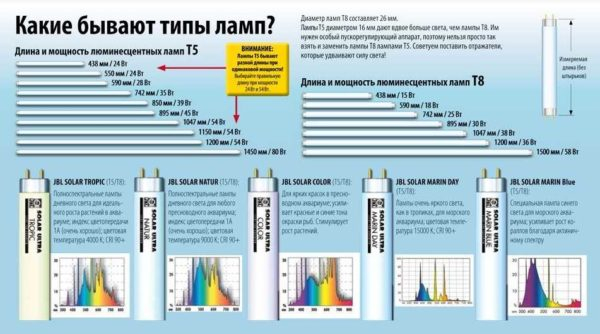 Как сделать свет в аквариуме
