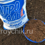 Как и когда высаживать георгины в открый грунт. Уход за цветами
