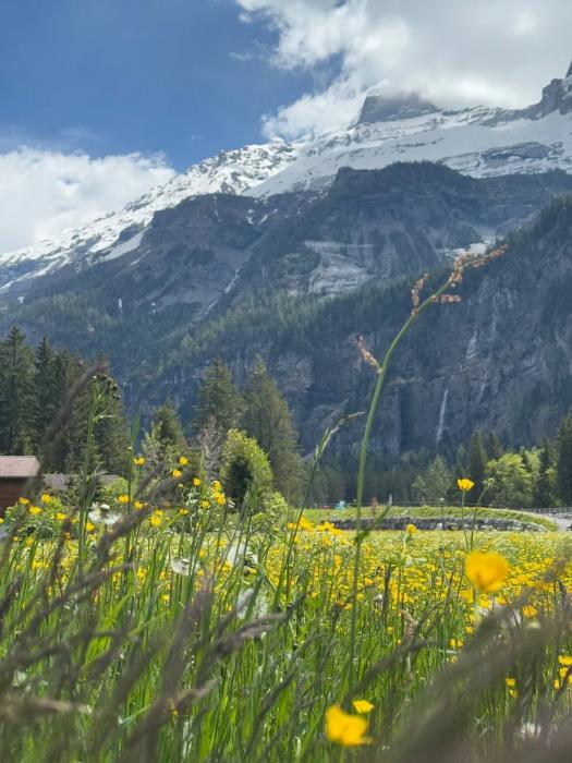 Swiss Pass и лучшие места Швейцарии: от Маттерхорна до Рейнского водопада