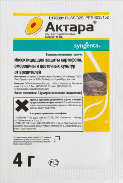 Как и когда высаживать георгины в открый грунт. Уход за цветами
