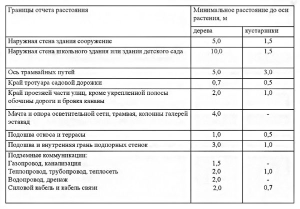 Расстояние высадки деревьев по санитарным правилам