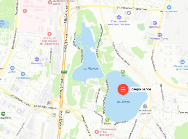 Где можно купаться в Москве в 2025 году: обзор пляжей