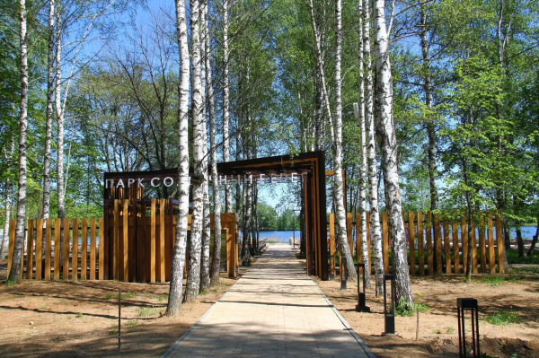 Где можно купаться в Подмосковье в 2025 году: обзор пляжей, карта, фото