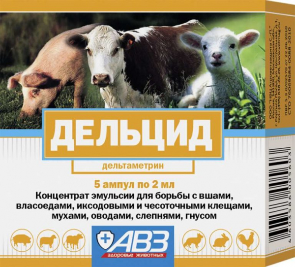 Способы борьбы с клопами