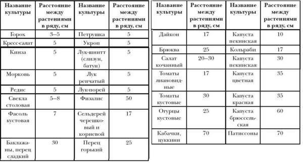 Огород для ленивых и умных: как сделать удобные и урожайные грядки