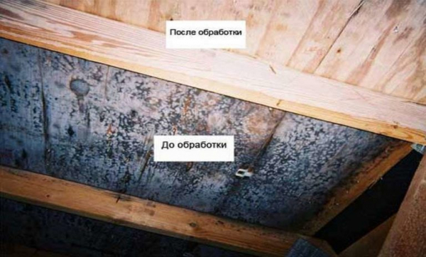 Чем пропитать дерево от влаги и гниения