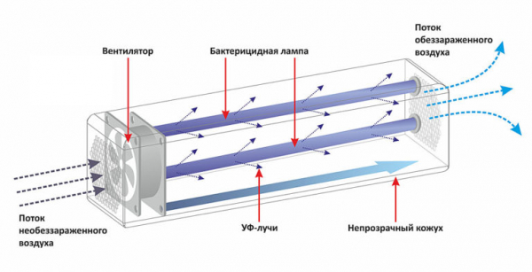 Кварцевая лампа для дома: виды, применение, как выбрать