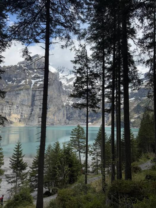 Swiss Pass и лучшие места Швейцарии: от Маттерхорна до Рейнского водопада