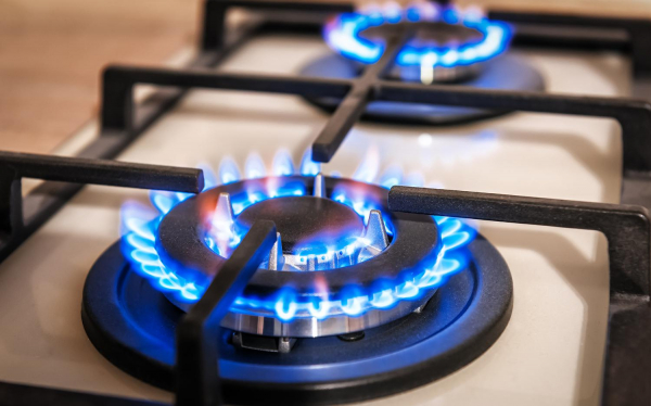 Газовики рассказали, как узнать дату проверки оборудования в квартире