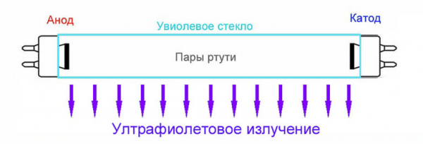 Кварцевая лампа для дома: виды, применение, как выбрать