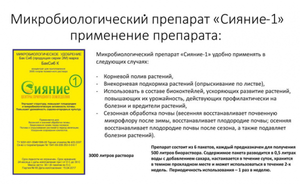 Как подготовить грядки к зиме