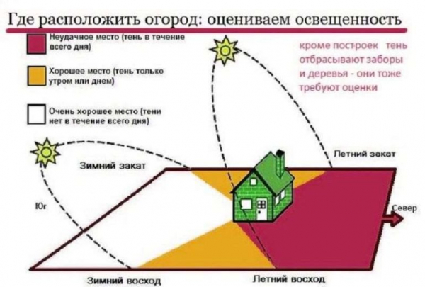 Планировка огорода под посадки — делаем правильно и красиво