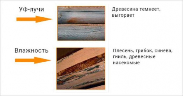 Чем пропитать дерево от влаги и гниения