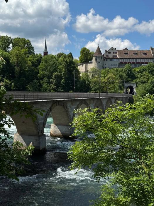 Swiss Pass и лучшие места Швейцарии: от Маттерхорна до Рейнского водопада