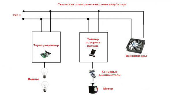 Из чего можно сделать самостоятельно инкубатор в домашних условиях