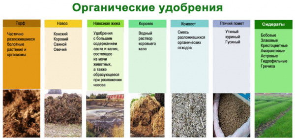 Виды удобрений, способы и правила их внесения, польза и вред применения