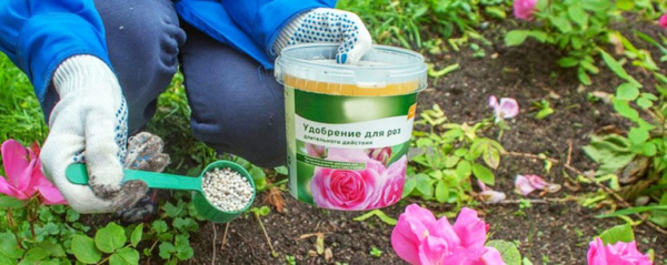 Какие удобрения вносить весной: в саду, огороде и цветнике