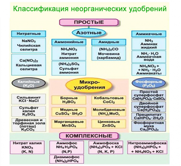 Виды удобрений, способы и правила их внесения, польза и вред применения