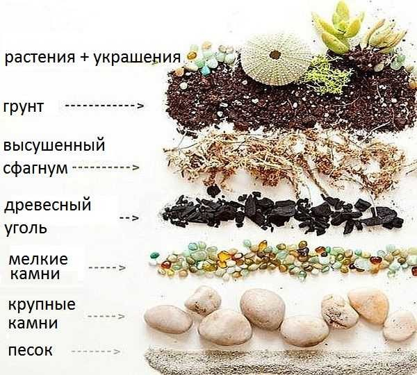 Как сделать флорариум своими руками: ёмкости, грунт, растения, уход
