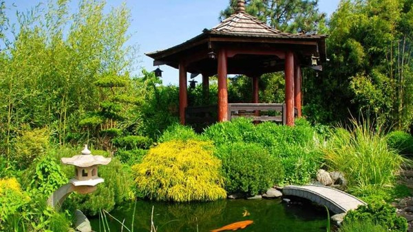 Обустройство сада: дизайн участка самостоятельно (60 фото) Обустройство сада: дизайн участка самостоятельно (60 фото)