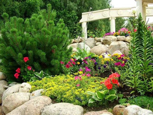 Обустройство сада: дизайн участка самостоятельно (60 фото) Обустройство сада: дизайн участка самостоятельно (60 фото)