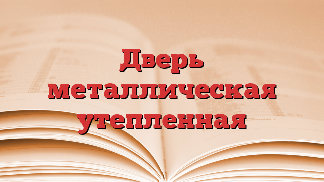 Дверь металлическая утепленная