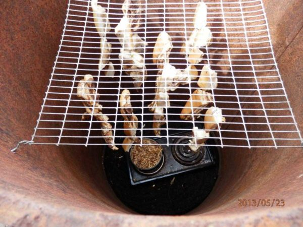 Как сделать генератор дыма для коптильни Как сделать генератор дыма для коптильни