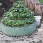 Декоративный огород: делаем красивые грядки — 60 фото Декоративный огород: делаем красивые грядки — 60 фото