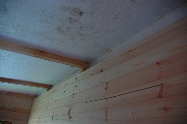 Как построить бытовку из дерева, на металлическом каркасе Как построить бытовку из дерева, на металлическом каркасе