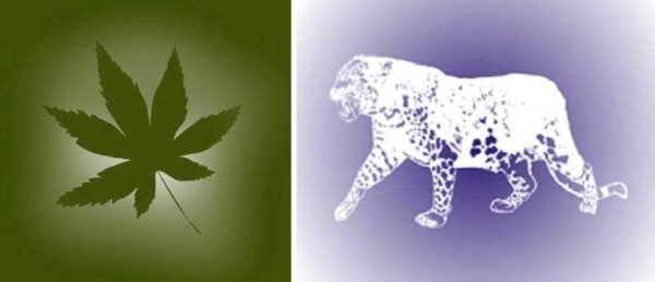 Трафареты для декора стен (55 фото)