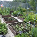 Декоративный огород: делаем красивые грядки — 60 фото Декоративный огород: делаем красивые грядки — 60 фото