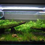 Как сделать свет в аквариуме