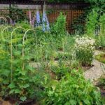 Декоративный огород: делаем красивые грядки — 60 фото Декоративный огород: делаем красивые грядки — 60 фото