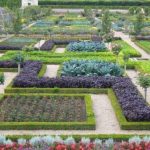 Декоративный огород: делаем красивые грядки — 60 фото Декоративный огород: делаем красивые грядки — 60 фото