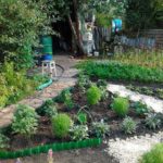 Декоративный огород: делаем красивые грядки — 60 фото Декоративный огород: делаем красивые грядки — 60 фото