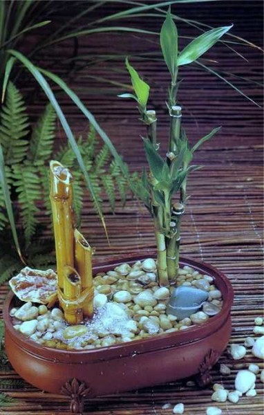 Как сделать фонтан: 6 типов Как сделать фонтан: 6 типов