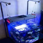 Как сделать свет в аквариуме