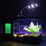 Как сделать свет в аквариуме