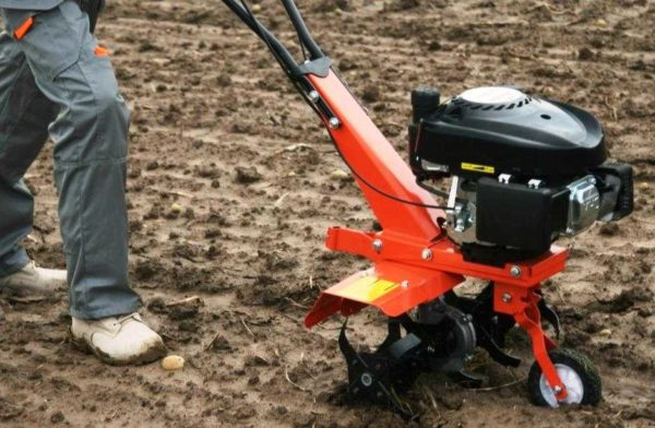 Какие мотоблоки и мотокультиваторы лучше