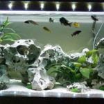 Как сделать свет в аквариуме