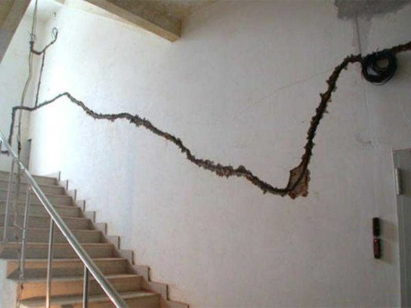 Детектор (индикатор) скрытой проводки