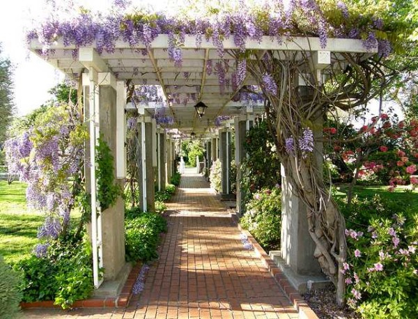 Как сделать перголу своими руками Как сделать перголу своими руками